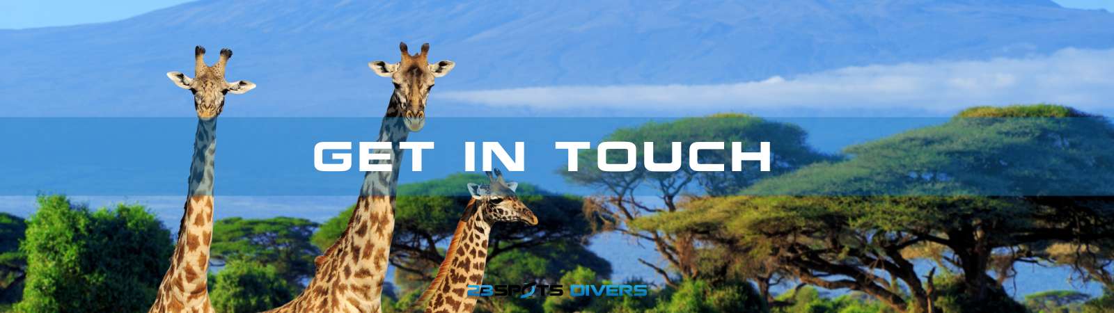 Slider Template 1600x450